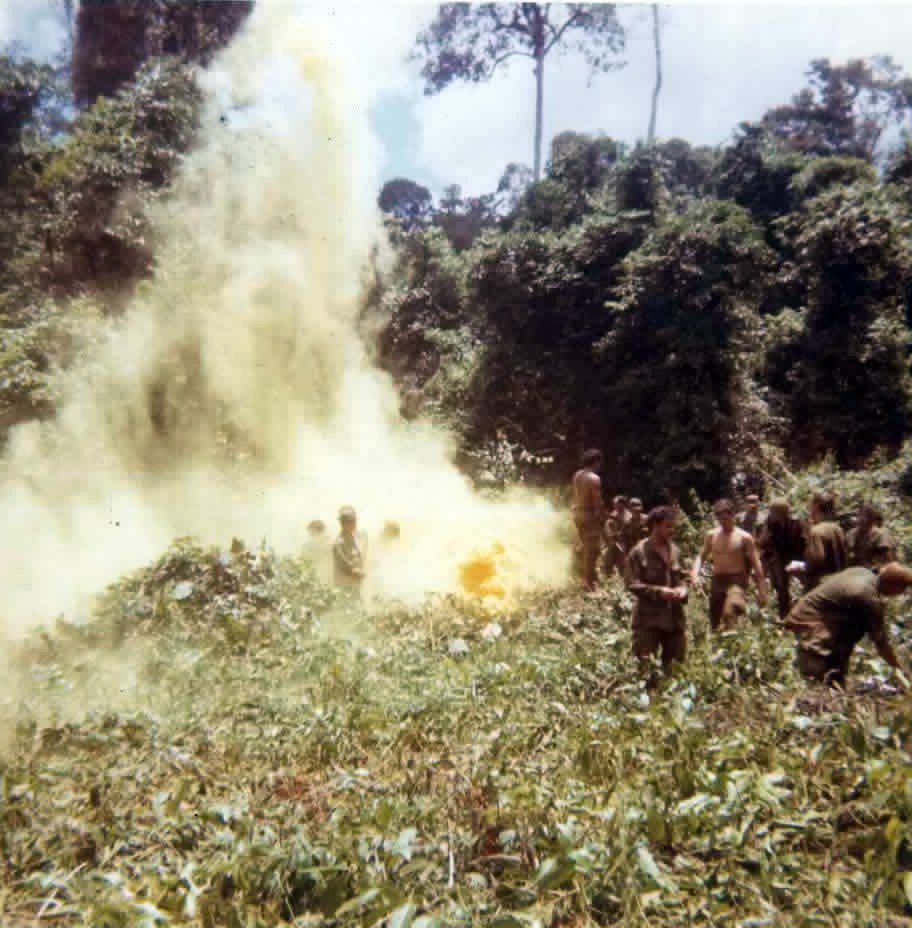 Soldiers in the bush marking a landing zone
