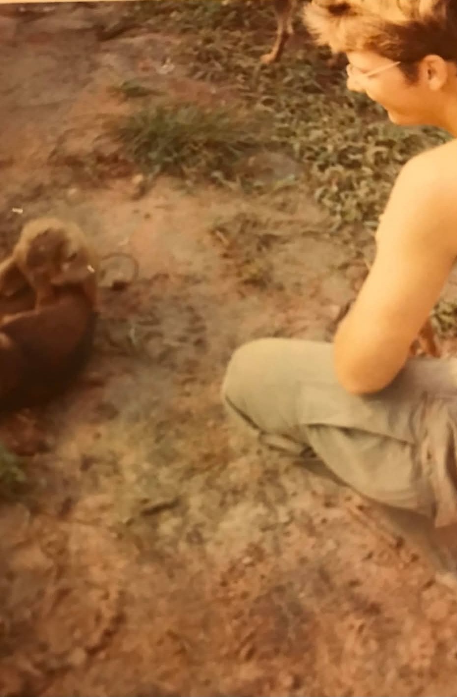 Roger DeGraff fancied himself as a monkey whisperer.